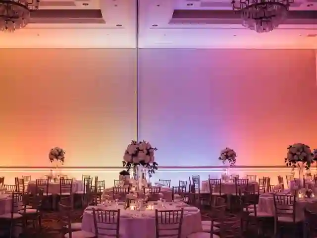 PAR LED para bodas románticas con colores suaves